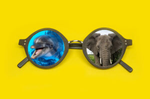 PostgreSQL foreign tables in MySQL