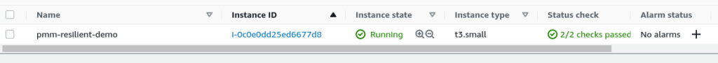 ec2 instance overview showing 2/2 status checks