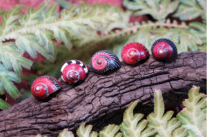 Amazon Aurora MySQL slow query logs with pt-query-digest slow