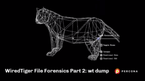 wiredtiger file forensics wt dump