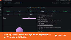 PMM Windows Docker