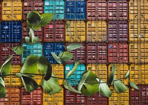 mongodb in docker containers